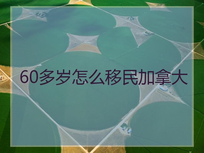 60多岁怎么移民加拿大