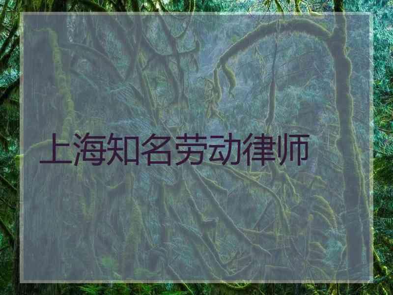 上海知名劳动律师