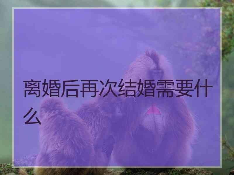 离婚后再次结婚需要什么