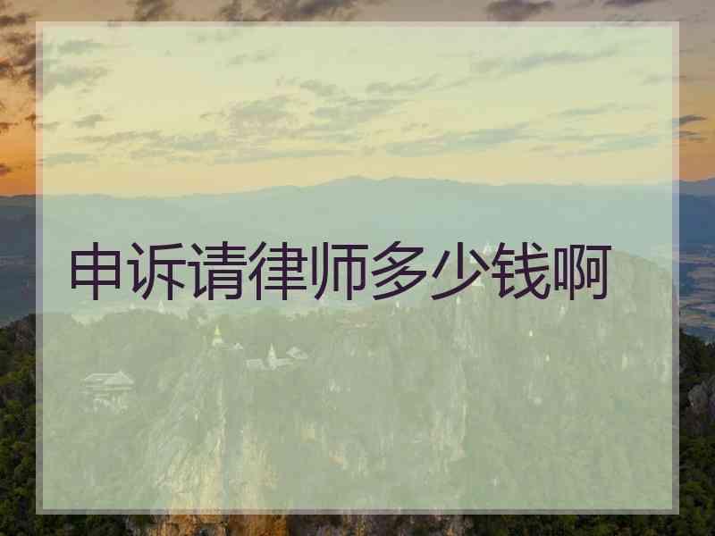 申诉请律师多少钱啊