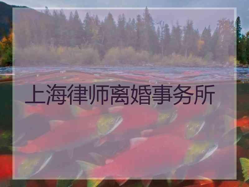 上海律师离婚事务所