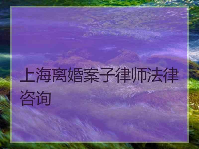 上海离婚案子律师法律咨询