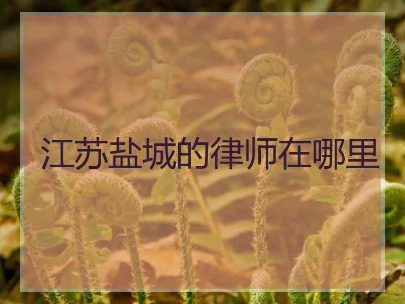 江苏盐城的律师在哪里