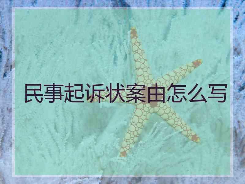 民事起诉状案由怎么写