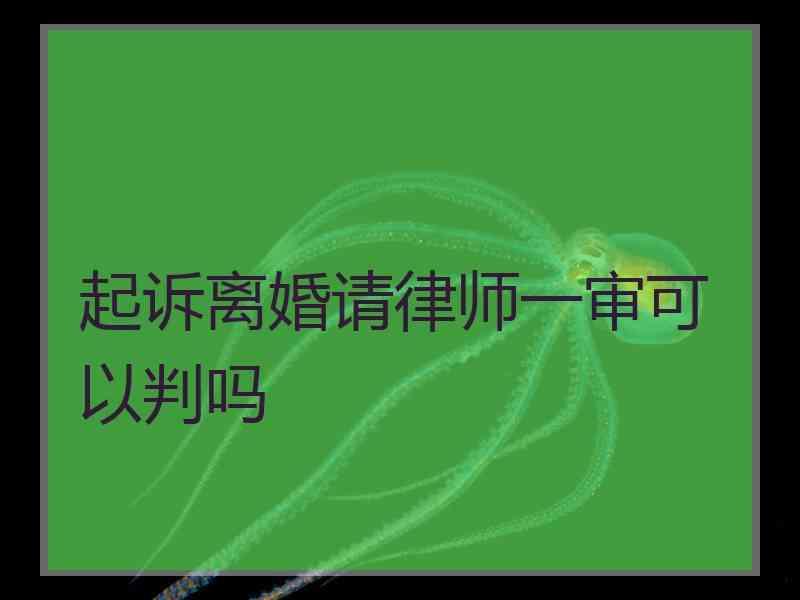 起诉离婚请律师一审可以判吗