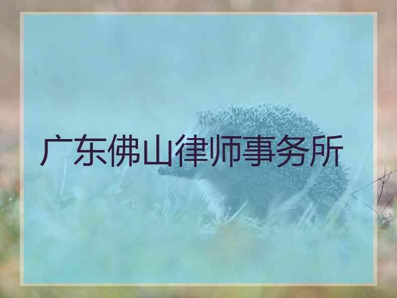 广东佛山律师事务所