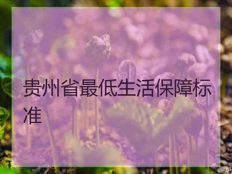 贵州省最低生活保障标准