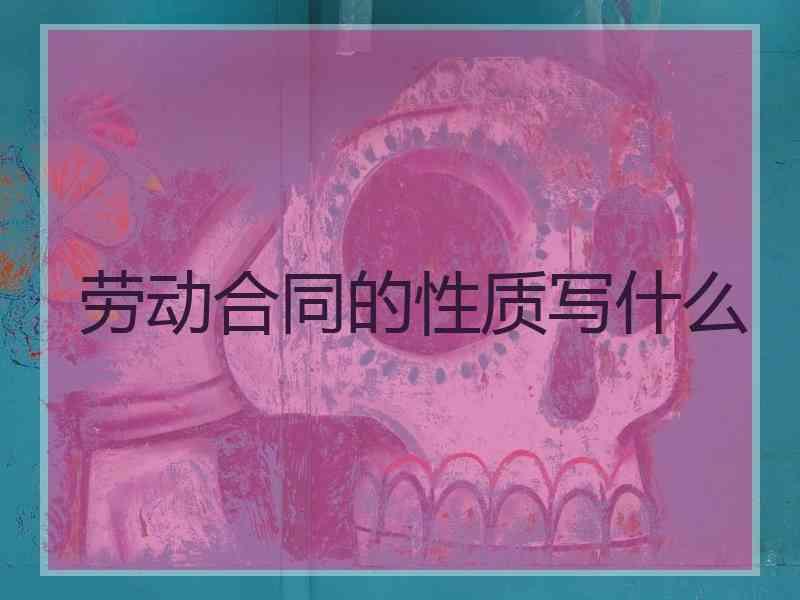 劳动合同的性质写什么