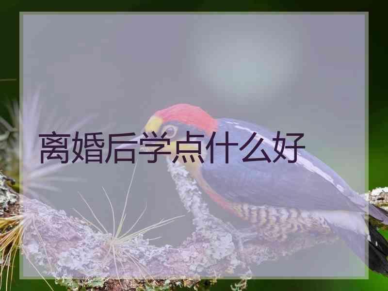 离婚后学点什么好