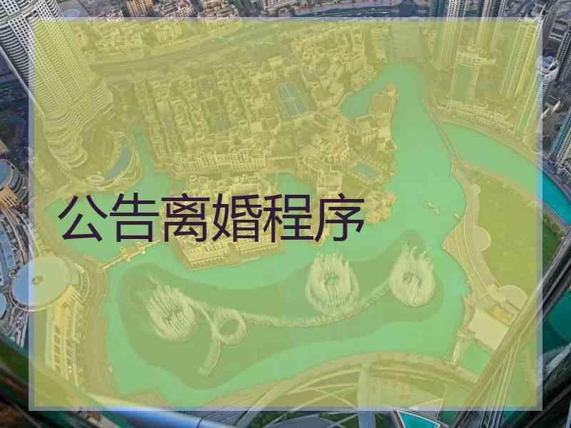 公告离婚程序