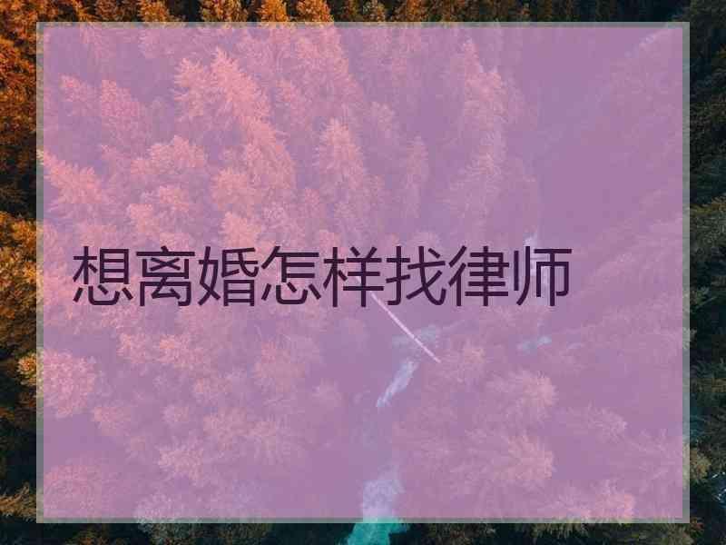 想离婚怎样找律师