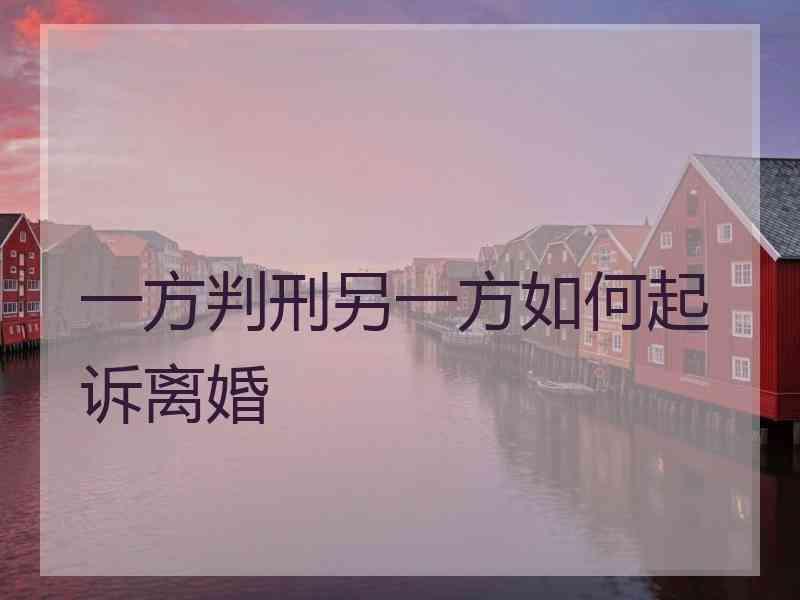 一方判刑另一方如何起诉离婚