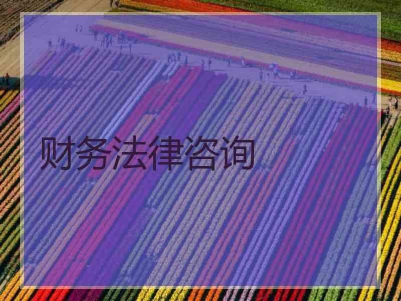 财务法律咨询