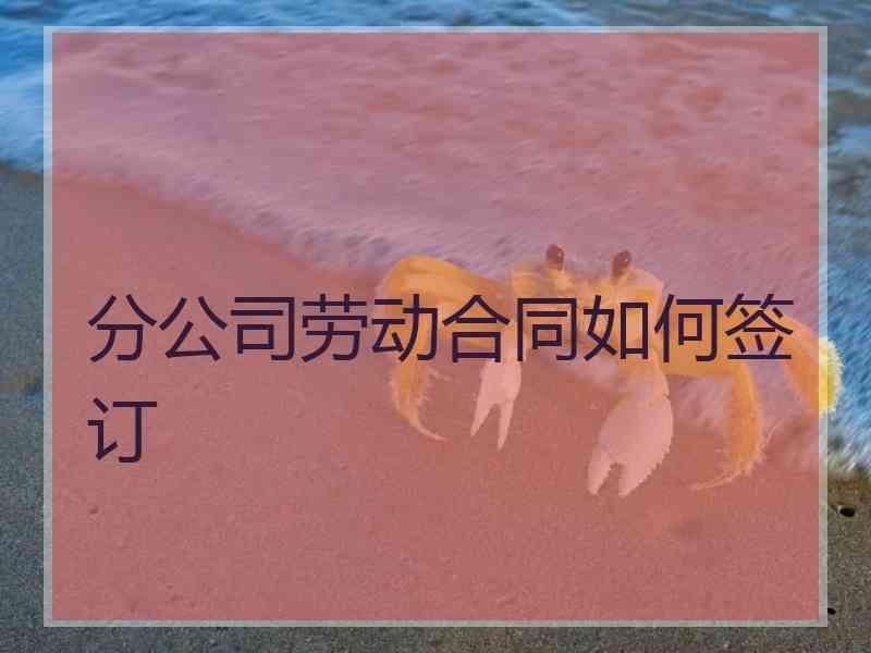 分公司劳动合同如何签订