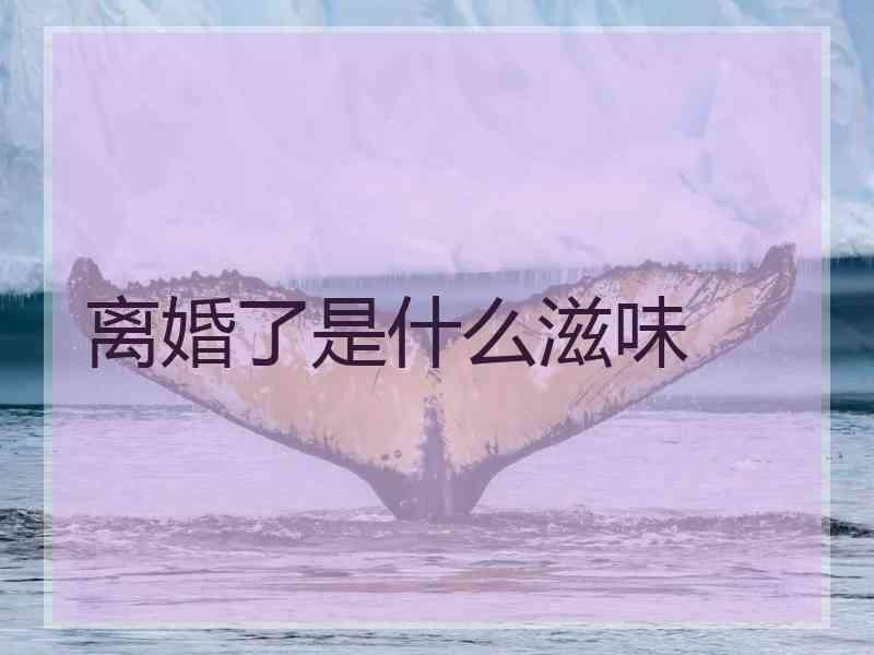 离婚了是什么滋味
