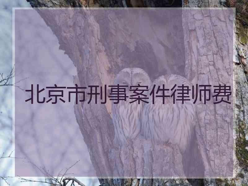 北京市刑事案件律师费