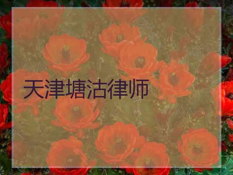 天津塘沽律师