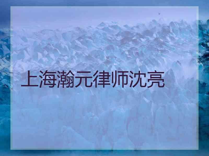 上海瀚元律师沈亮