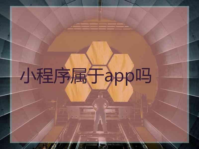 小程序属于app吗