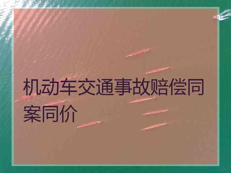 机动车交通事故赔偿同案同价