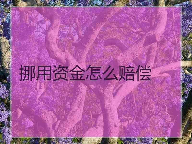 挪用资金怎么赔偿