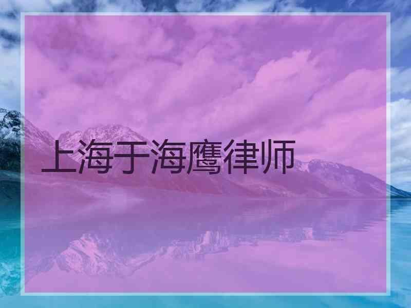 上海于海鹰律师