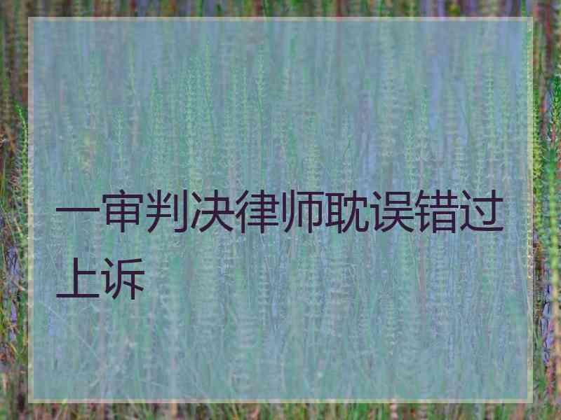 一审判决律师耽误错过上诉