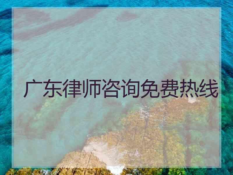 广东律师咨询免费热线