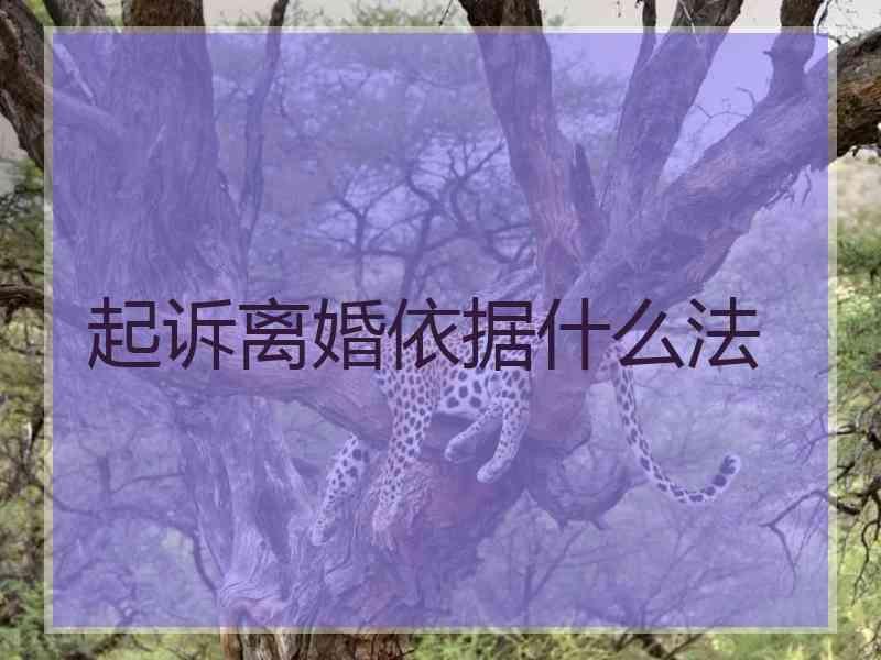 起诉离婚依据什么法