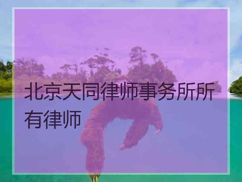 北京天同律师事务所所有律师