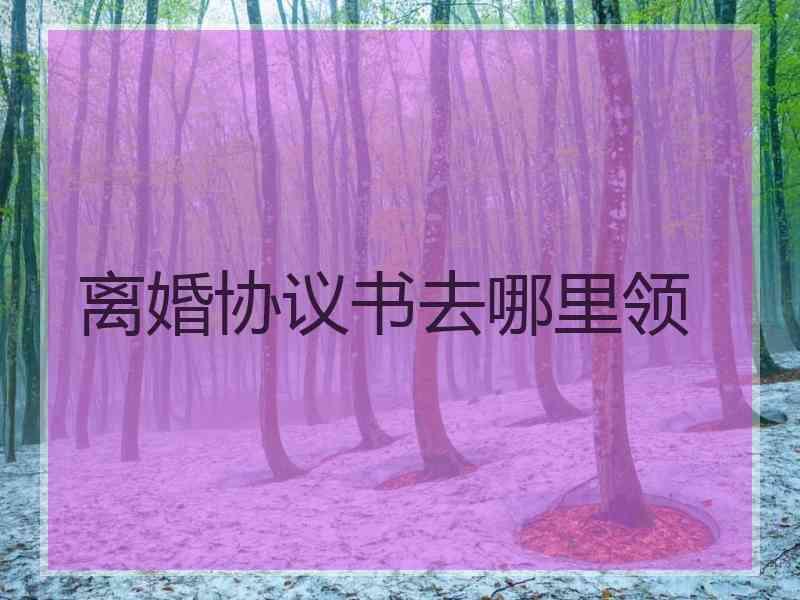 离婚协议书去哪里领
