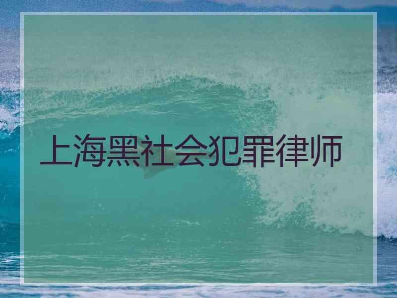 上海黑社会犯罪律师