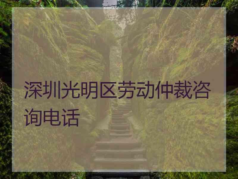 深圳光明区劳动仲裁咨询电话