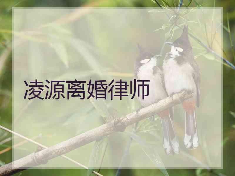 凌源离婚律师