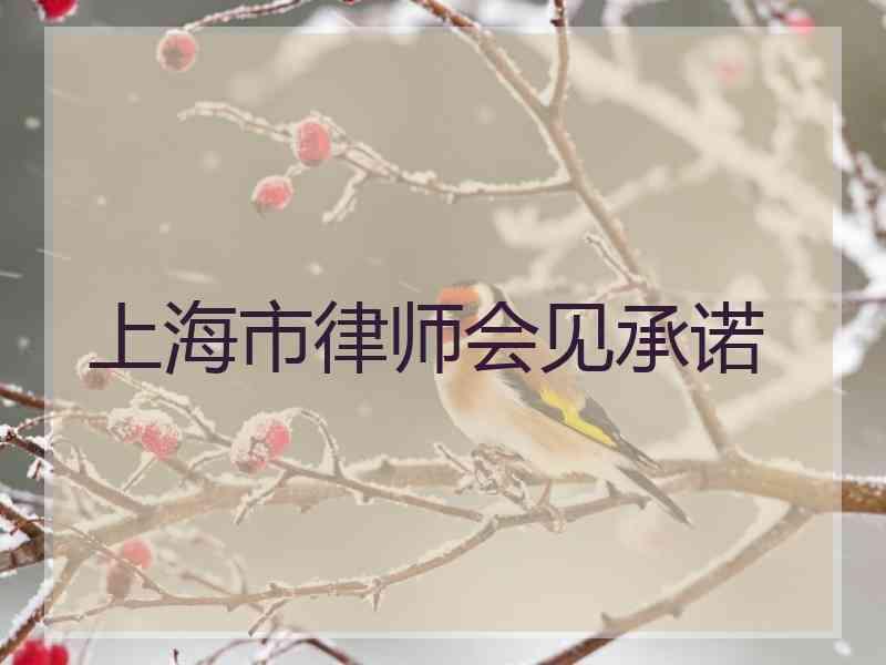 上海市律师会见承诺