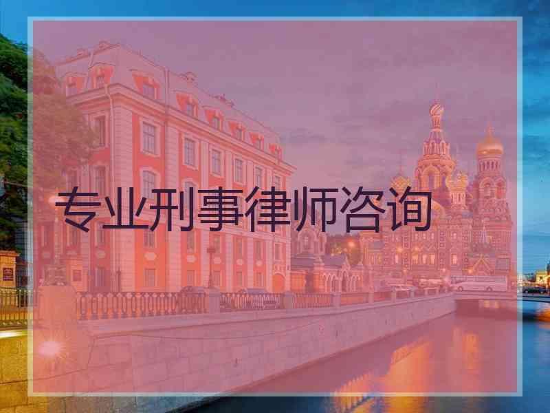 专业刑事律师咨询