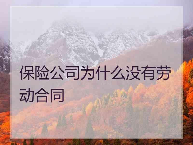 保险公司为什么没有劳动合同