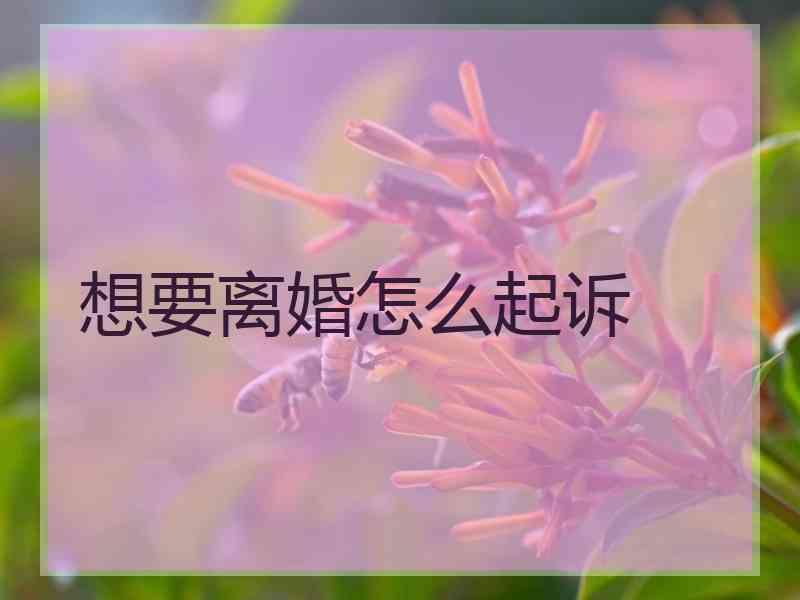 想要离婚怎么起诉