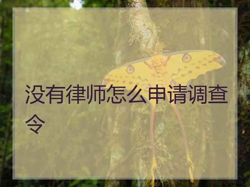 没有律师怎么申请调查令