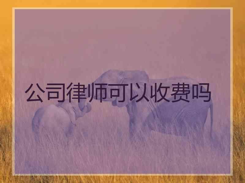 公司律师可以收费吗