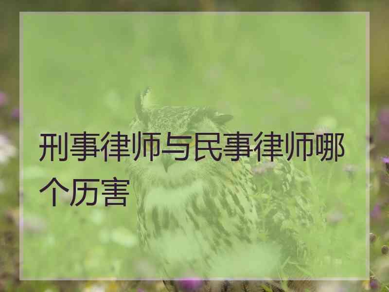 刑事律师与民事律师哪个历害