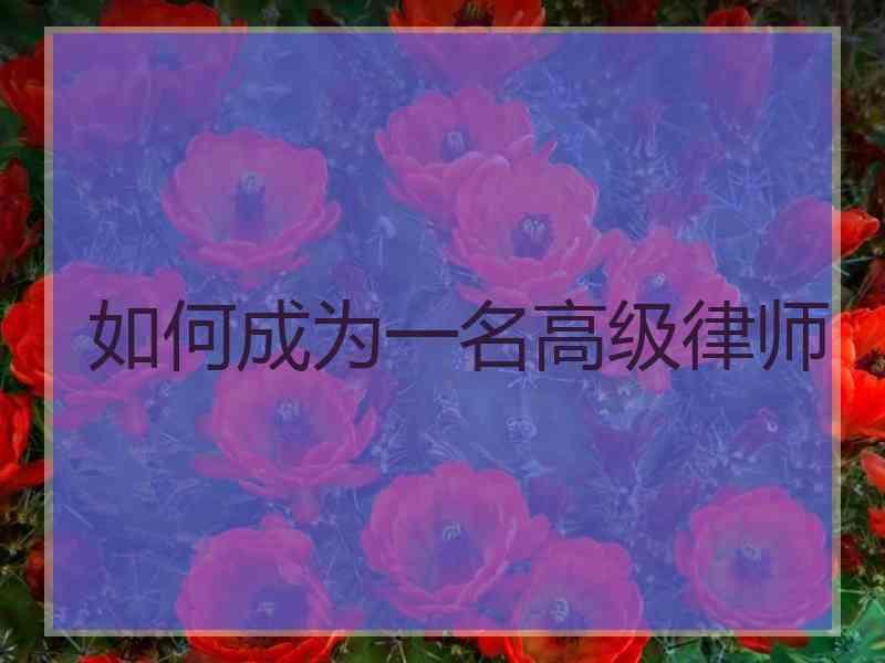 如何成为一名高级律师