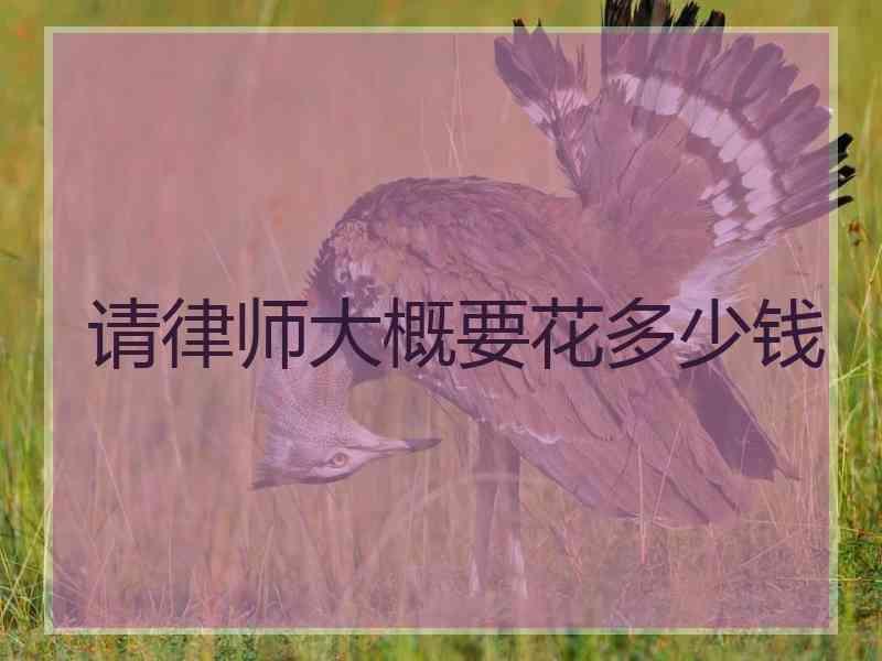 请律师大概要花多少钱