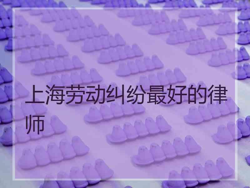 上海劳动纠纷最好的律师
