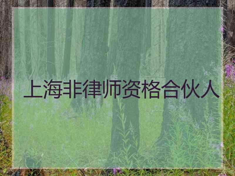 上海非律师资格合伙人