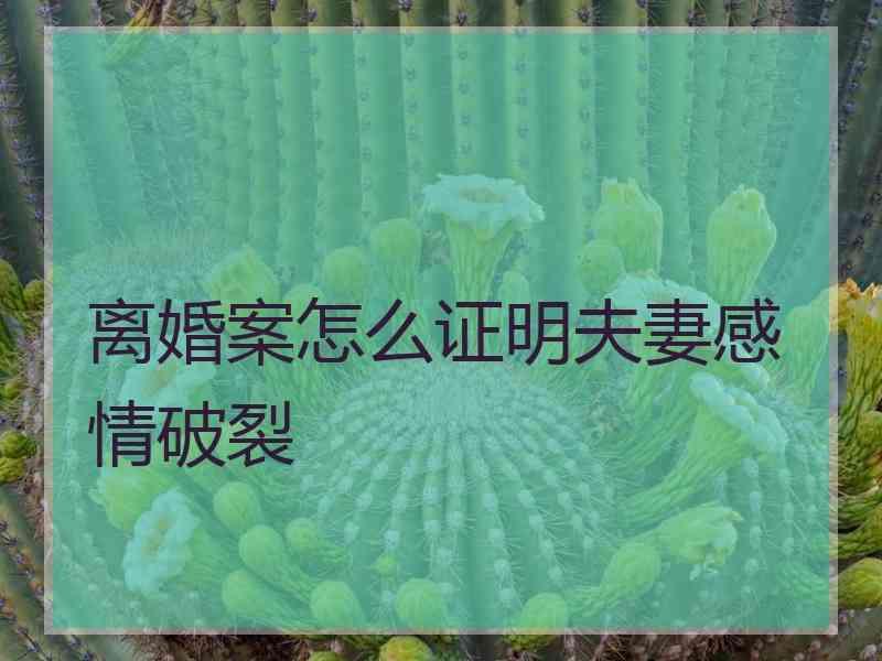 离婚案怎么证明夫妻感情破裂