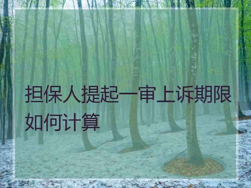 担保人提起一审上诉期限如何计算