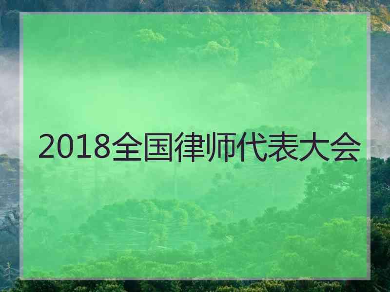 2018全国律师代表大会