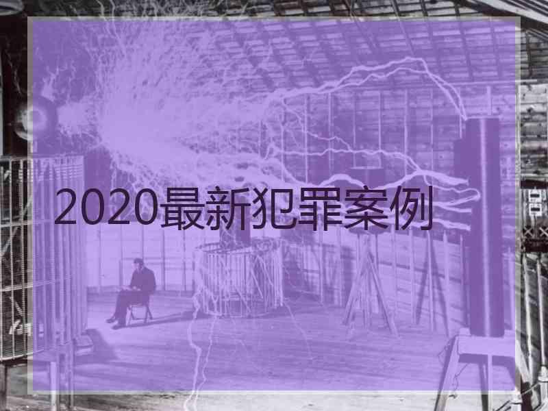 2020最新犯罪案例