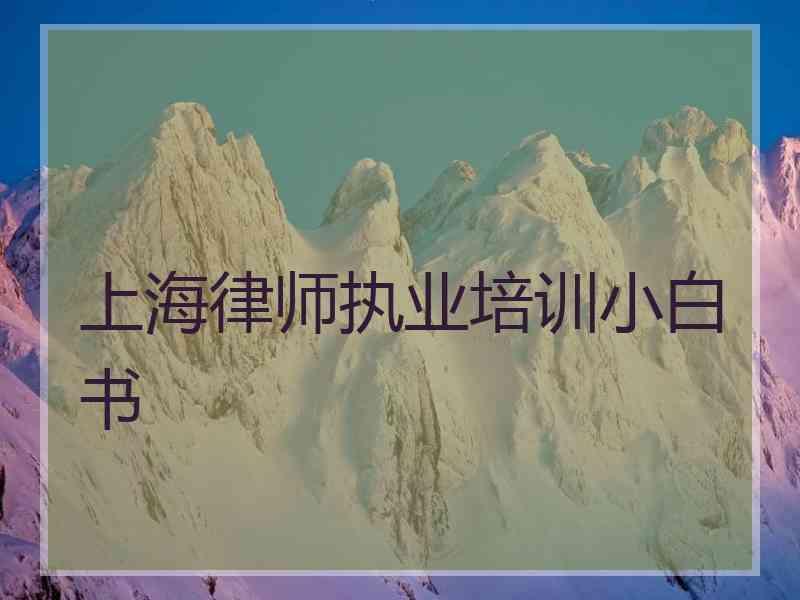 上海律师执业培训小白书